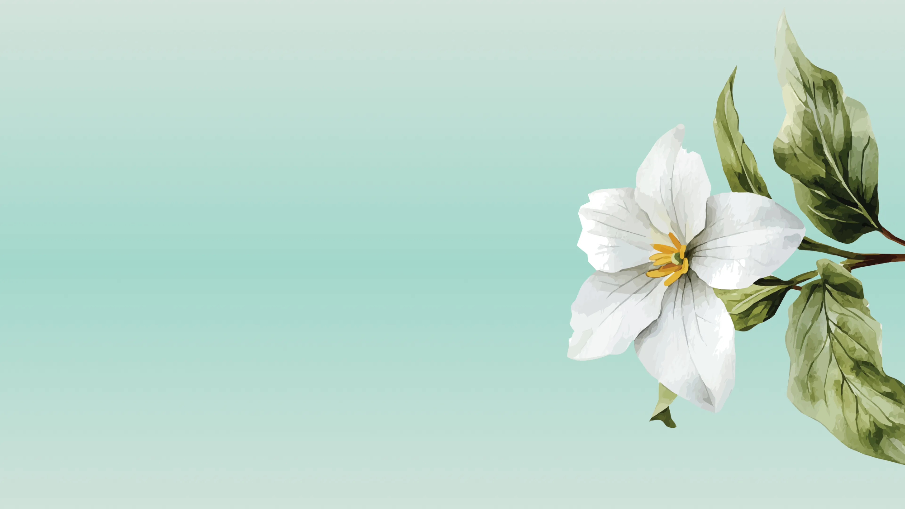Trillium on teal background