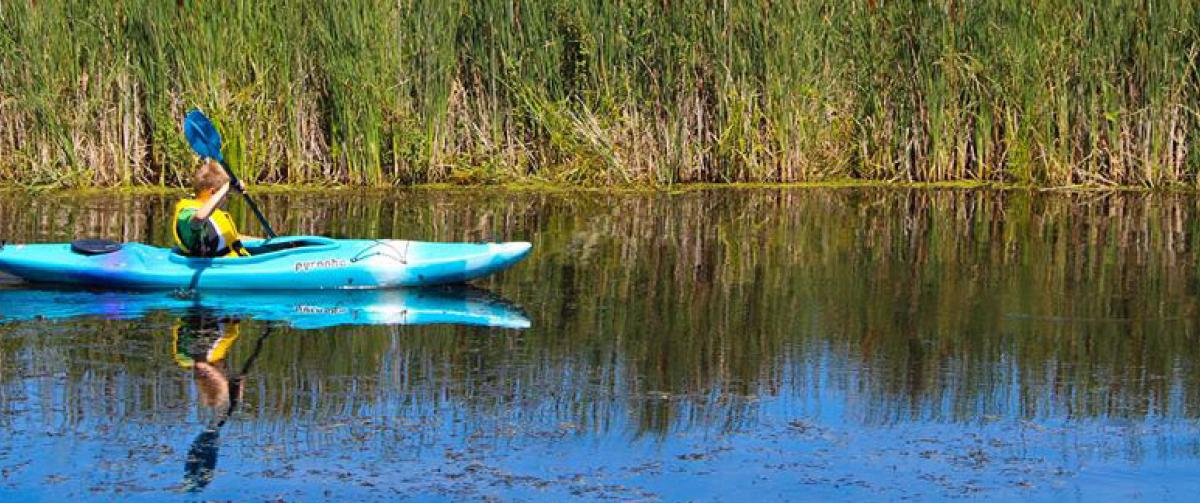 Camp Henry Camper Kayaking through Point Peele National Park
